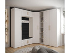 Armoire noire, 232 x 47 x 236,7 cm