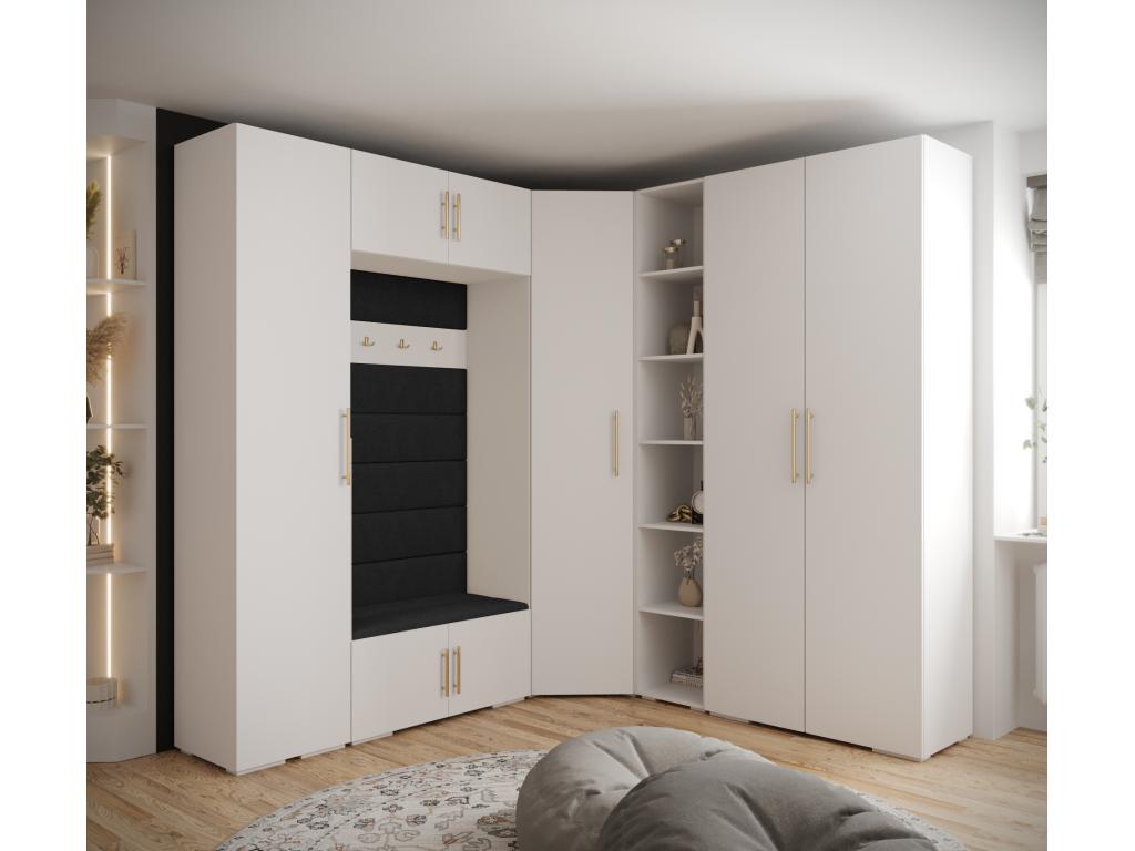 Armoire noire, 232 x 47 x 236,7 cm